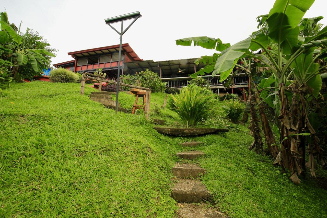 Toucan Lane Hotel And Restaurant Nuevo Arenal Bagian luar foto